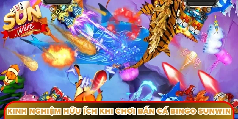 Kinh nghiệm hữu ích khi chơi bắn cá bingo Sunwin