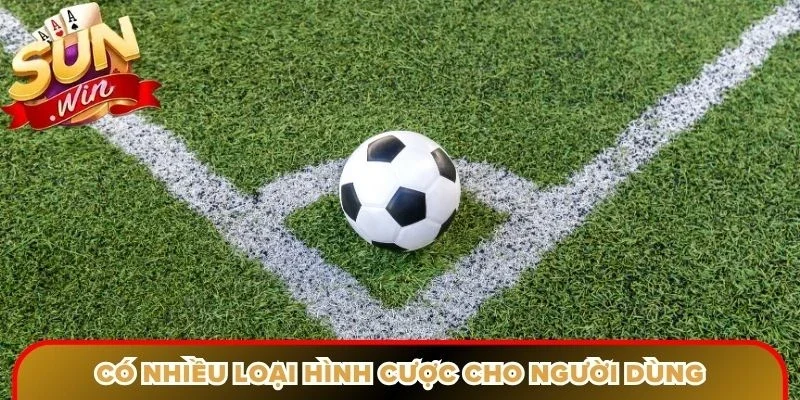 Có nhiều loại hình cược cho người dùng